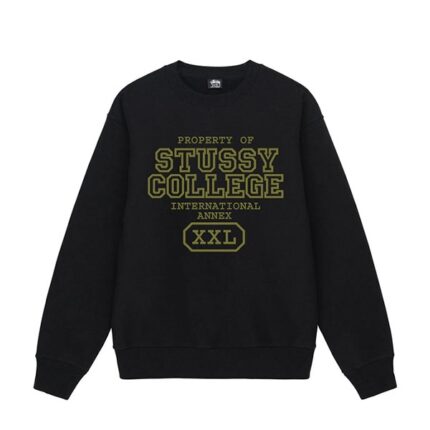 Sudadera Internacional Stussy